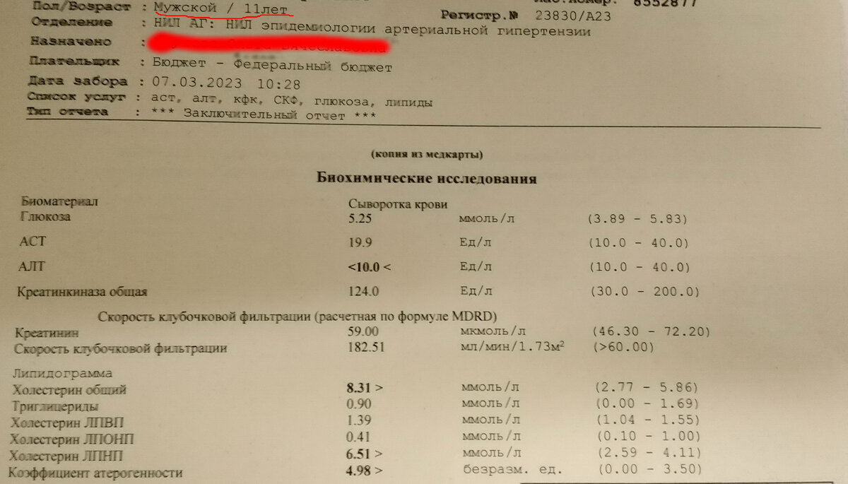 -3